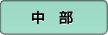 中部